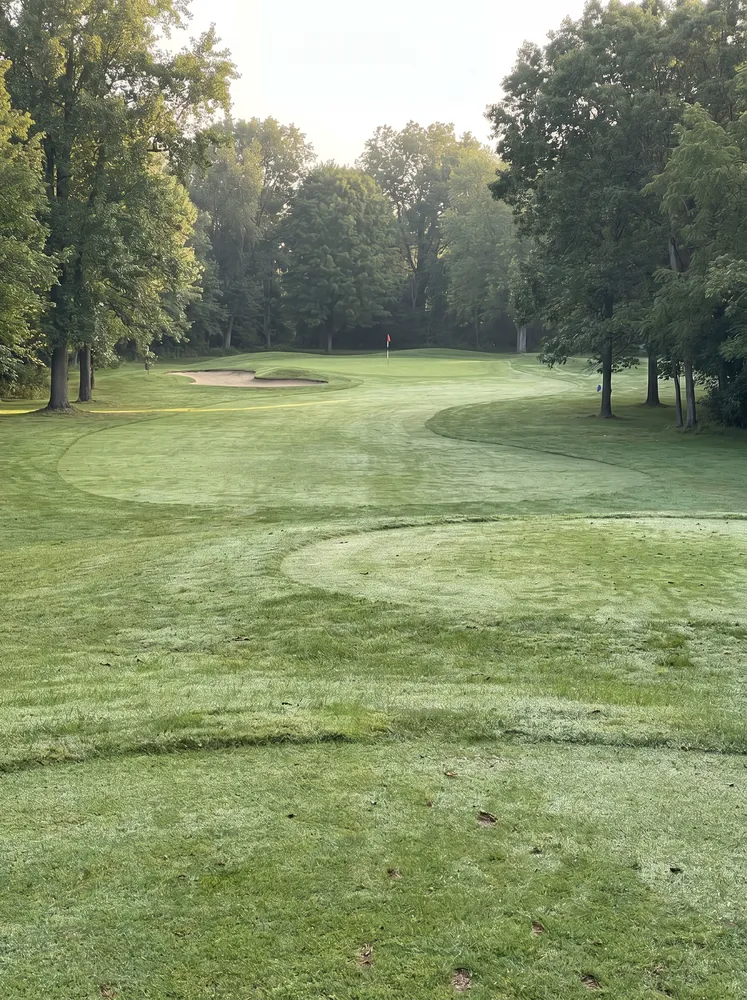 Example golf course photograph with a green and bunker